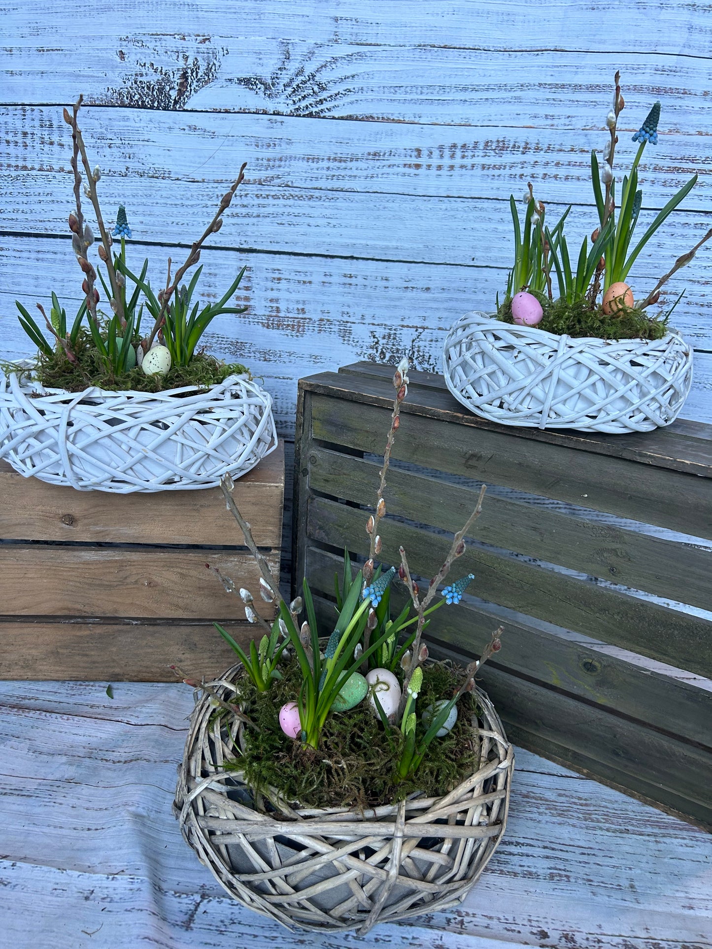 Spring Bulb Planter