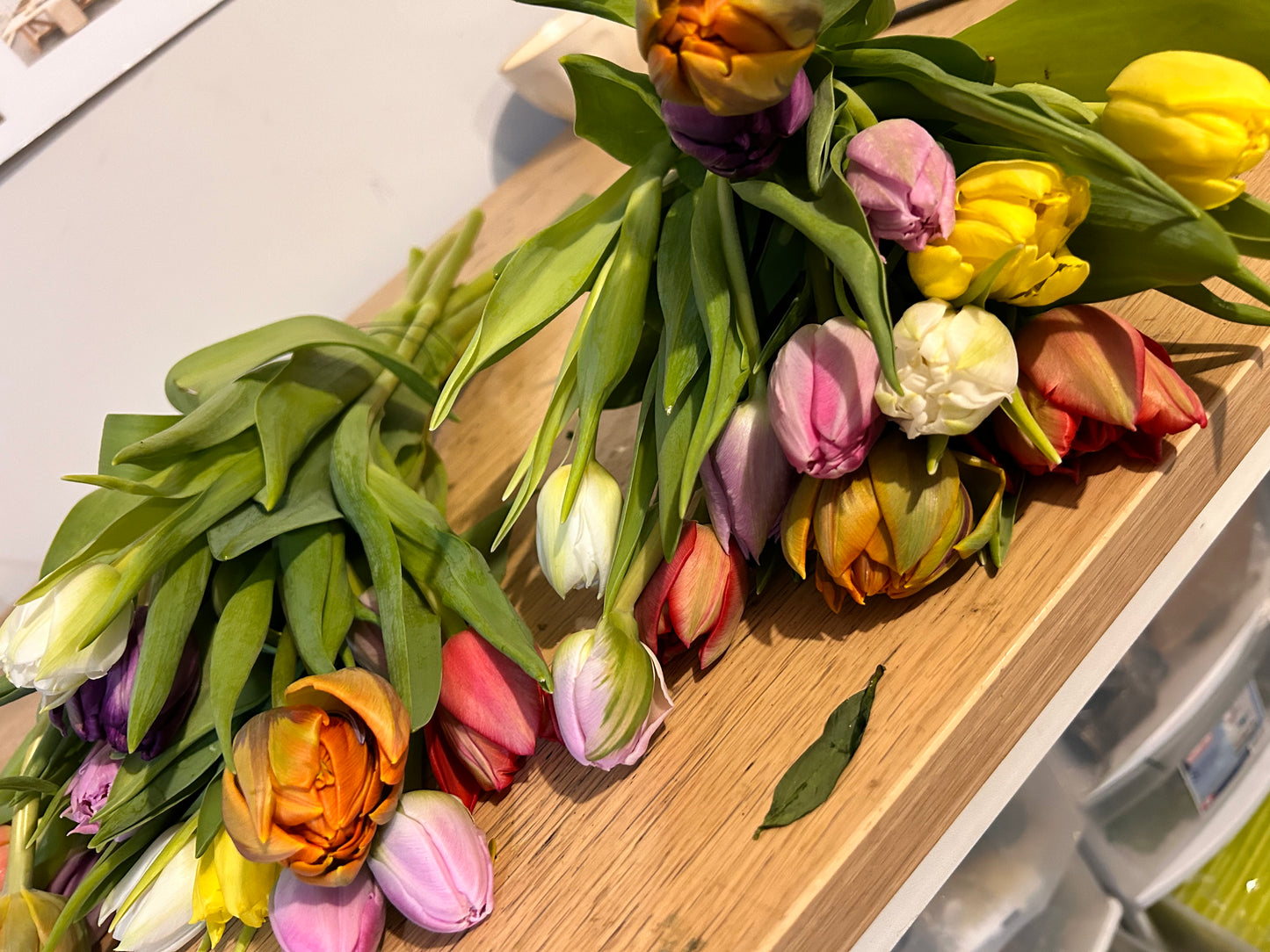 Tulip Bundles