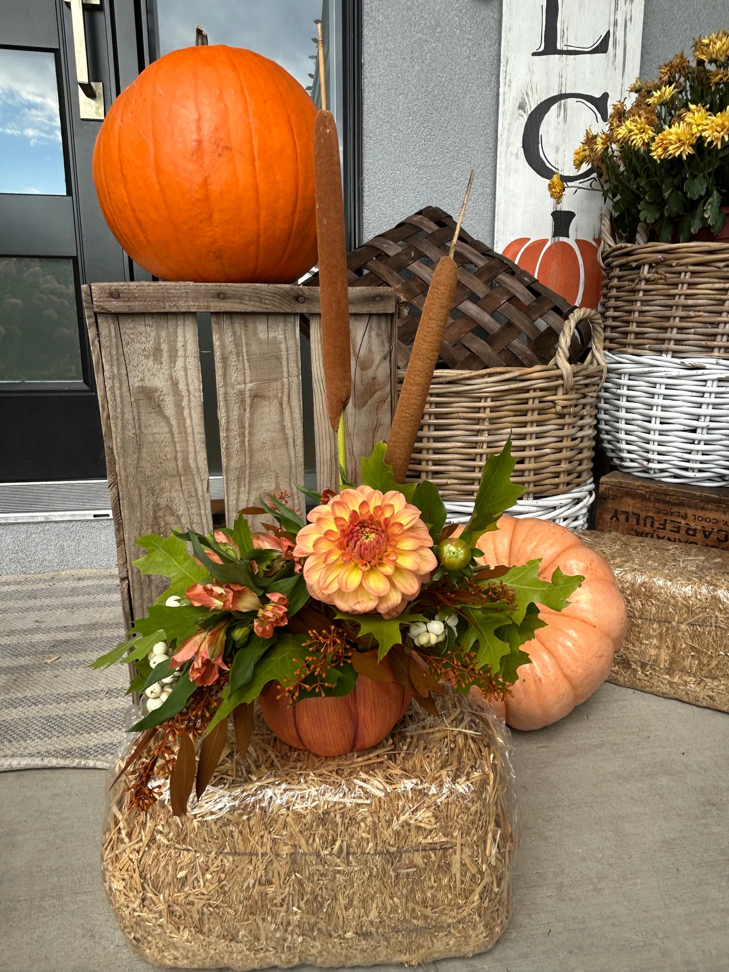 thanksgiving flowers- Petite Pumpkin